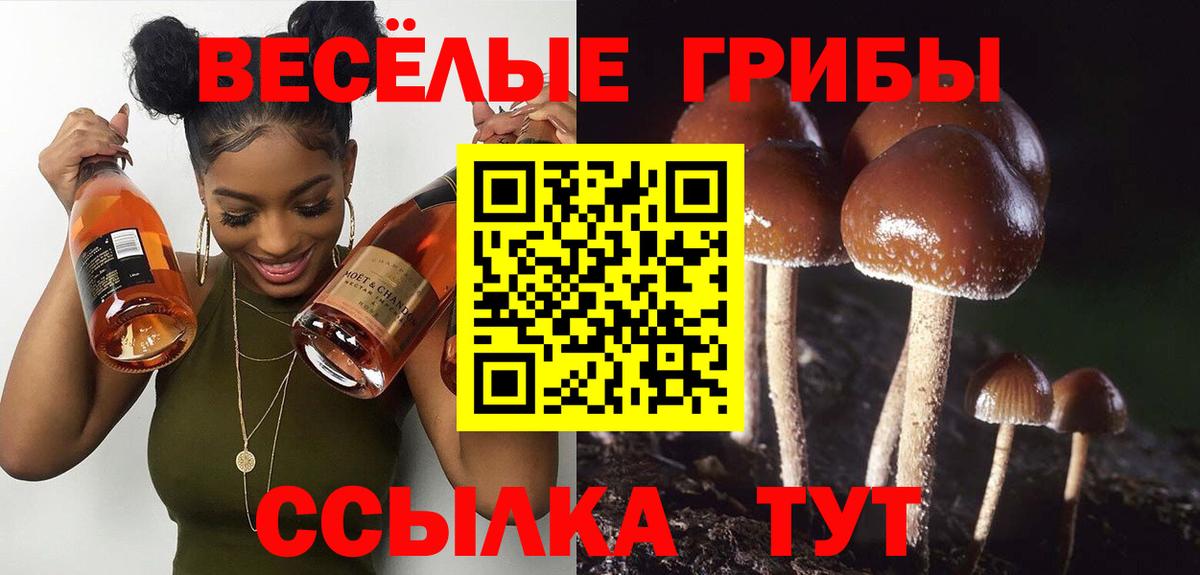 Галлюциногенные грибы прущие грибы  Псилоцибиновые грибы ЛСД  Вход с VPN  Реж 